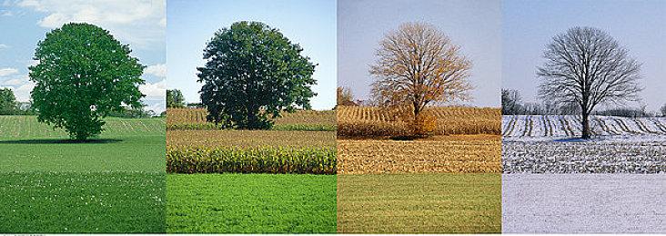 专业人士：《GTA6》不可能登陆Switch2